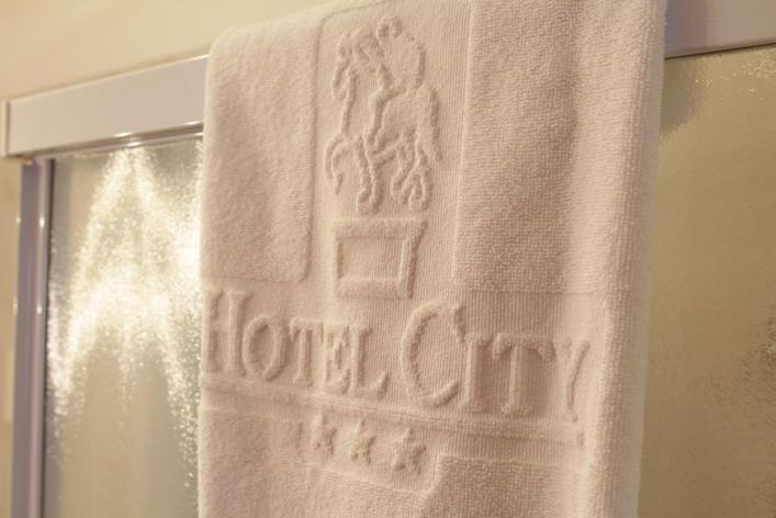 Hotel City Piacenza Bilik gambar